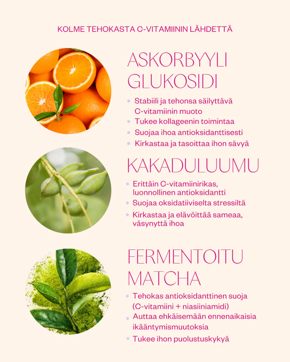 Tuotekuva 2