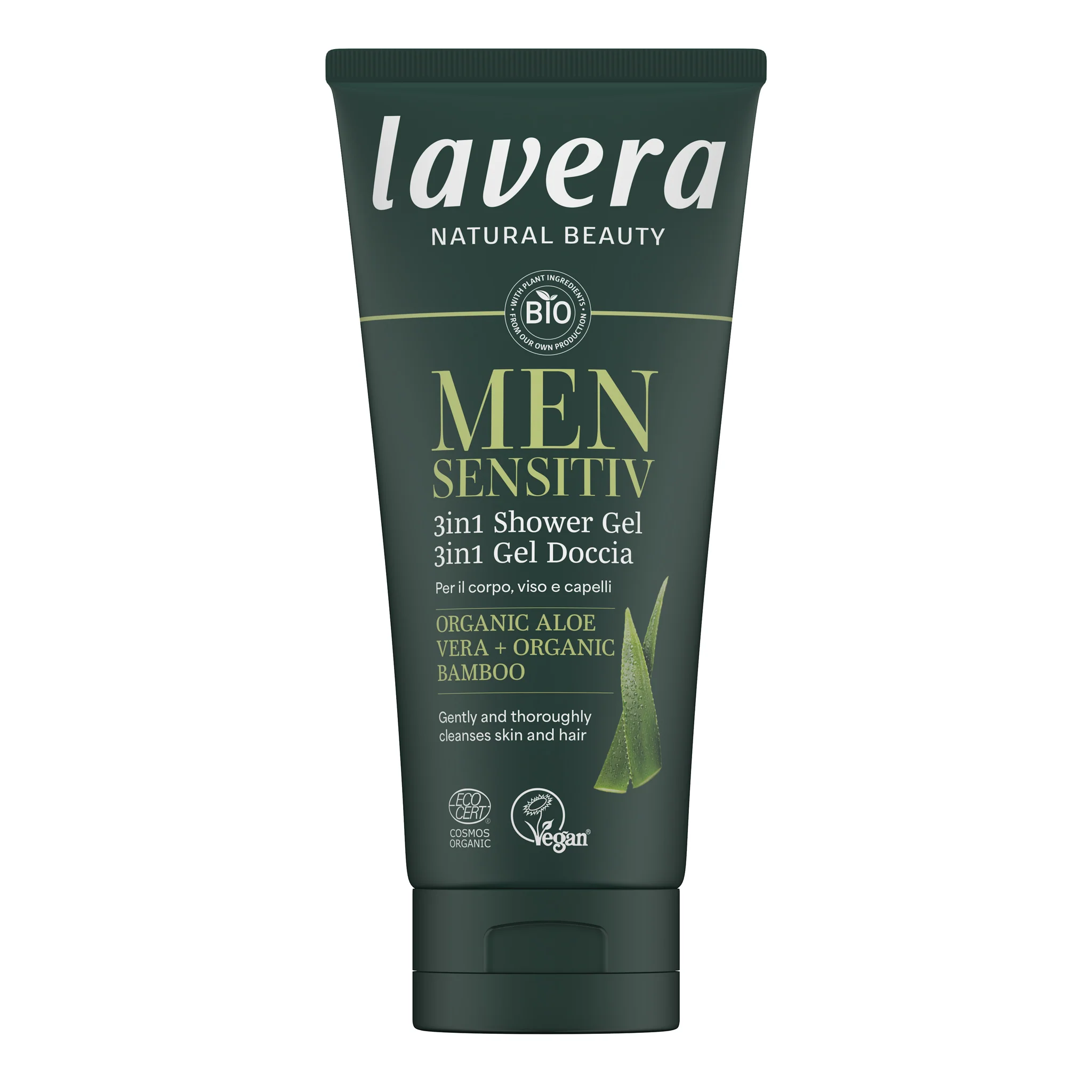 Pikkukuva 1